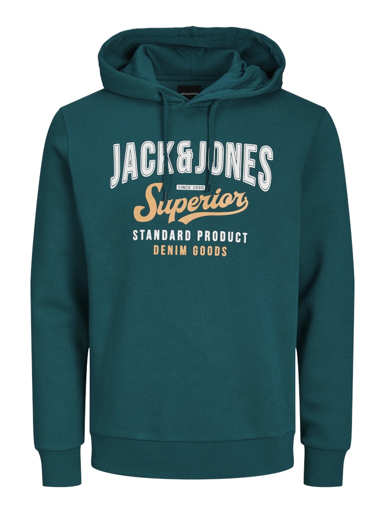 Felpa cappuccio stampa